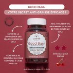 Lashilé Beauty Good Burn Boost Minceur – Brûle-graisse – 1 mois – Image 2