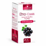 Ethno cassis