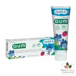 Dentif gum junior