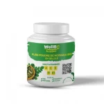 Azurwell moringa comprimes b/60