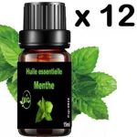 Meduse huile de menthe 15ml