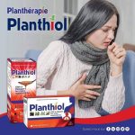 Planthiol toux grasse comprime