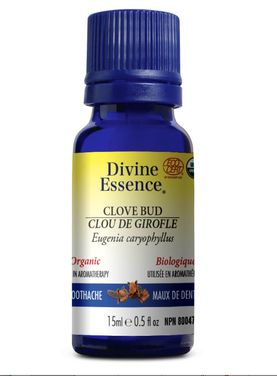 Meduse clou de girofle 15ml – Image 1