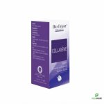 Bio orient collagene 10ml
