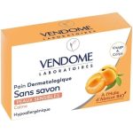 Vendome pain surgras