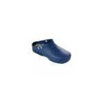 Sabot scholl swim marine
